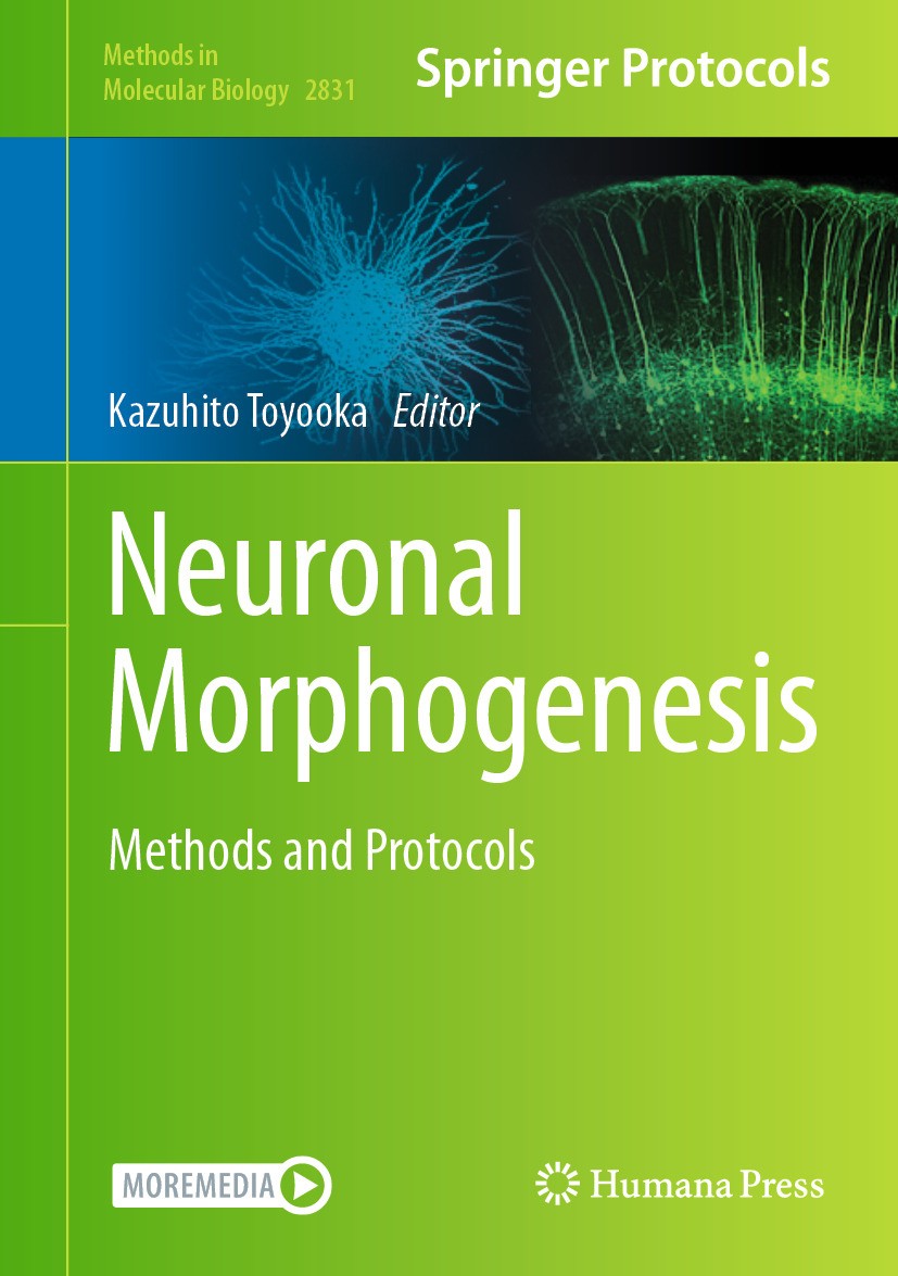 Titlebook: Neuronal Morphogenesis; Methods and Protocol Kazuhito Toyooka Book 2024 The Editor(s) (if applicable) and The Author(s), under exclusive li Titlebook: Neuronal Morphogenesis; Methods and Protocol Kazuhito Toyooka Book 2024 The Editor(s) (if applicable) and The Author(s), under exclusive li