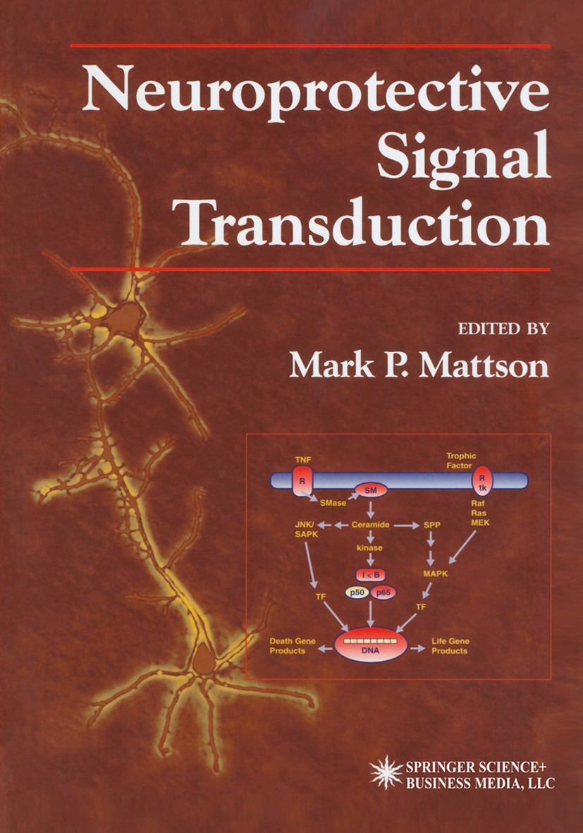 Titlebook: Neuroprotective Signal Transduction; Mark P. Mattson Book 1998 Springer Science+Business Media New York 1998 Deprivation.Nervous System.Pa Titlebook: Neuroprotective Signal Transduction; Mark P. Mattson Book 1998 Springer Science+Business Media New York 1998 Deprivation.Nervous System.Pa