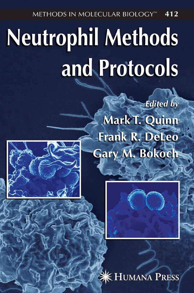 Titlebook: Neutrophil Methods and Protocols; Mark T. Quinn,Frank R. DeLeo,Gary M. Bokoch Book 2007 Humana Press 2007 Activation.Endoplasmatisches Ret Titlebook: Neutrophil Methods and Protocols; Mark T. Quinn,Frank R. DeLeo,Gary M. Bokoch Book 2007 Humana Press 2007 Activation.Endoplasmatisches Ret
