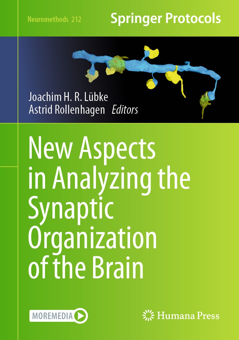 Titlebook: New Aspects in Analyzing the Synaptic Organization of the Brain; Joachim H.R. Lübke,Astrid Rollenhagen Book 2024 The Editor(s) (if applica Titlebook: New Aspects in Analyzing the Synaptic Organization of the Brain; Joachim H.R. Lübke,Astrid Rollenhagen Book 2024 The Editor(s) (if applica