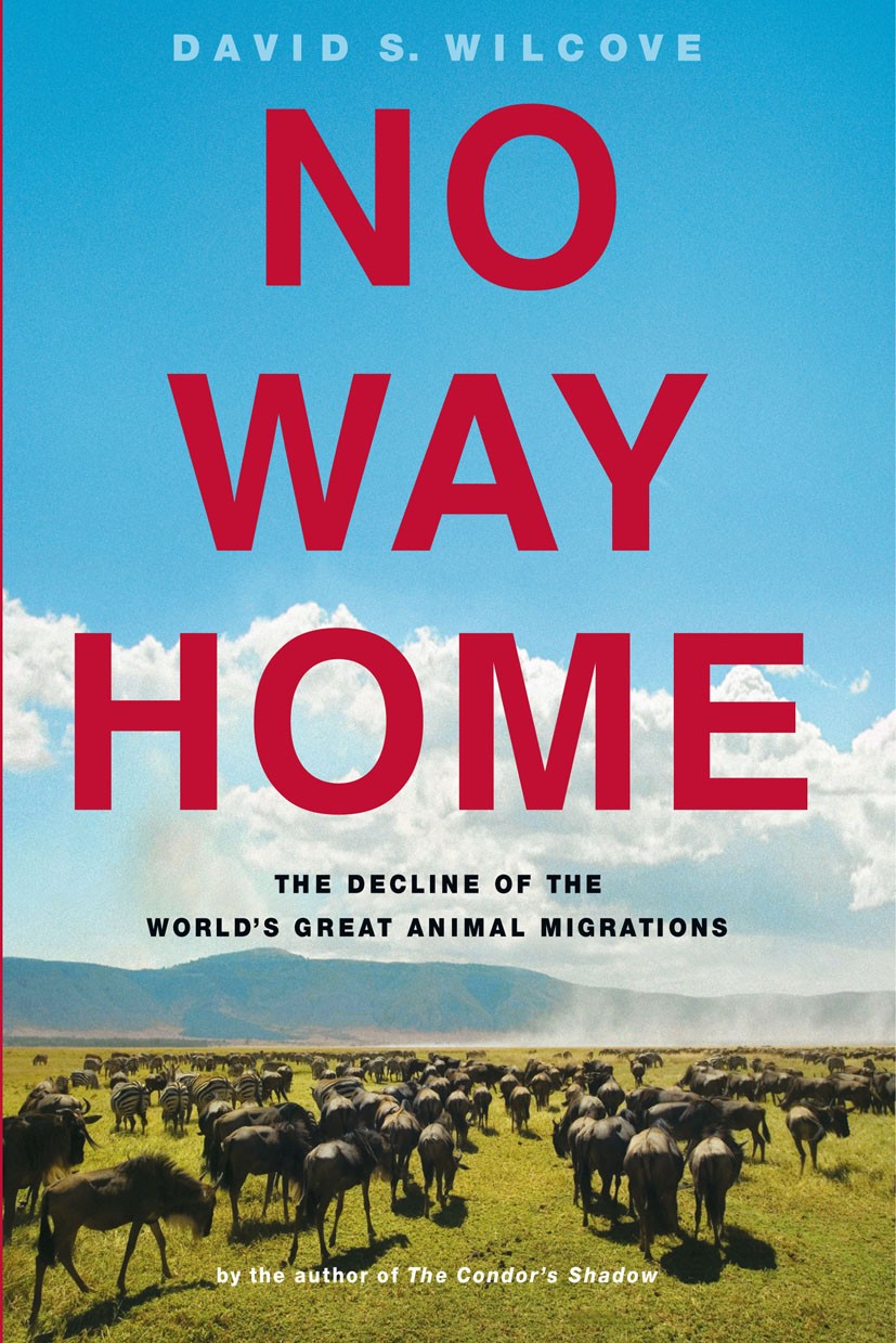 Titlebook: No Way Home; The Decline of the W David S. Wilcove Book 2011Latest edition David S. Wilcove 2011 Biodiversity.Climate Change.Migration.clim Titlebook: No Way Home; The Decline of the W David S. Wilcove Book 2011Latest edition David S. Wilcove 2011 Biodiversity.Climate Change.Migration.clim