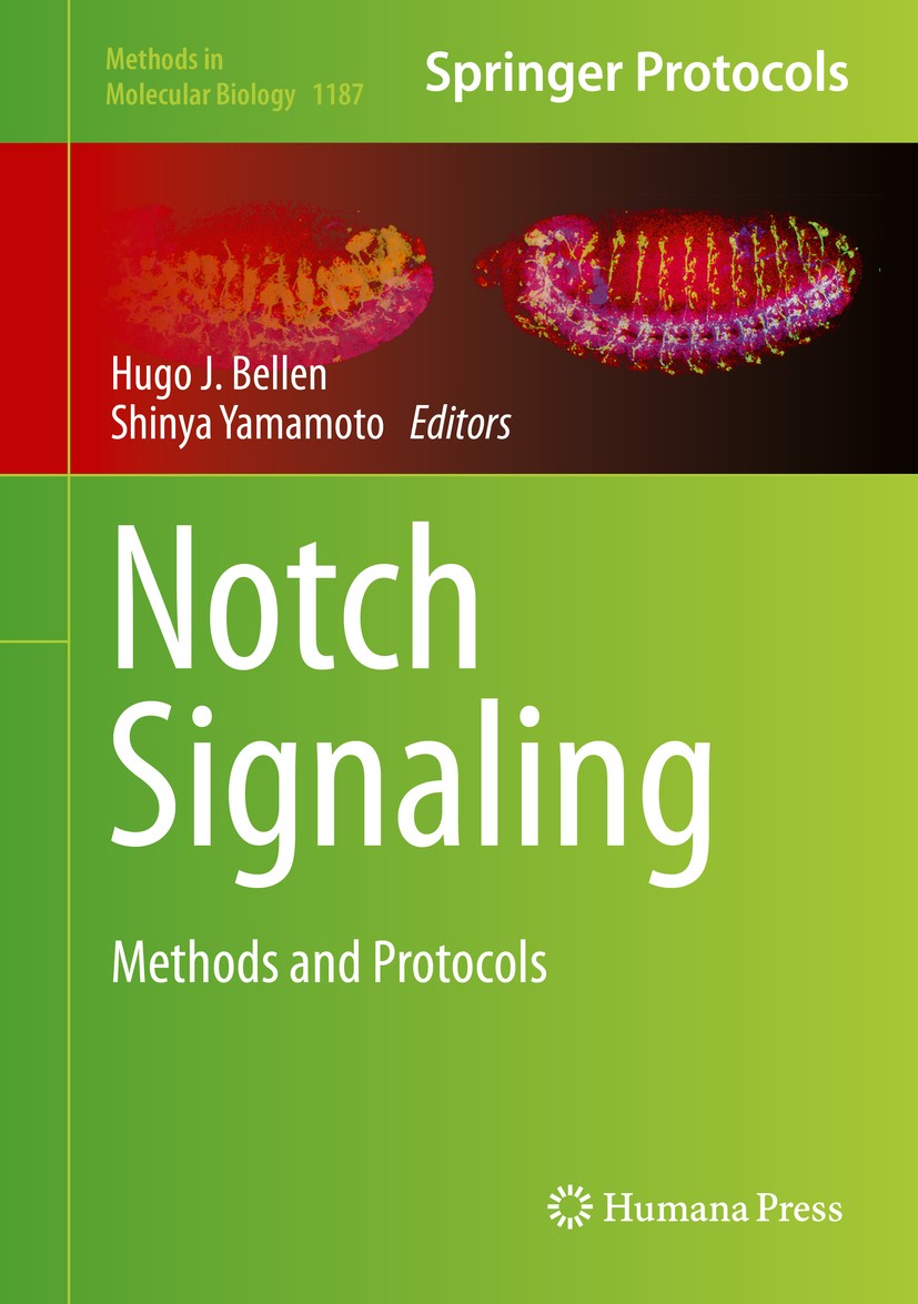 Titlebook: Notch Signaling; Methods and Protocol Hugo J. Bellen,Shinya Yamamoto Book 2014 Springer Science+Business Media New York 2014 Notch activity Titlebook: Notch Signaling; Methods and Protocol Hugo J. Bellen,Shinya Yamamoto Book 2014 Springer Science+Business Media New York 2014 Notch activity