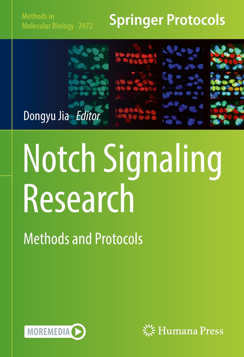 Titlebook: Notch Signaling Research; Methods and Protocol Dongyu Jia Book 2022 The Editor(s) (if applicable) and The Author(s), under exclusive licens Titlebook: Notch Signaling Research; Methods and Protocol Dongyu Jia Book 2022 The Editor(s) (if applicable) and The Author(s), under exclusive licens