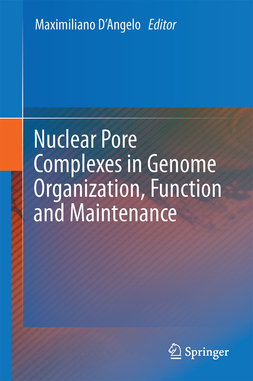 Titlebook: Nuclear Pore Complexes in Genome Organization, Function and Maintenance; Maximiliano D’Angelo Book 2018 Springer International Publishing Titlebook: Nuclear Pore Complexes in Genome Organization, Function and Maintenance; Maximiliano D’Angelo Book 2018 Springer International Publishing