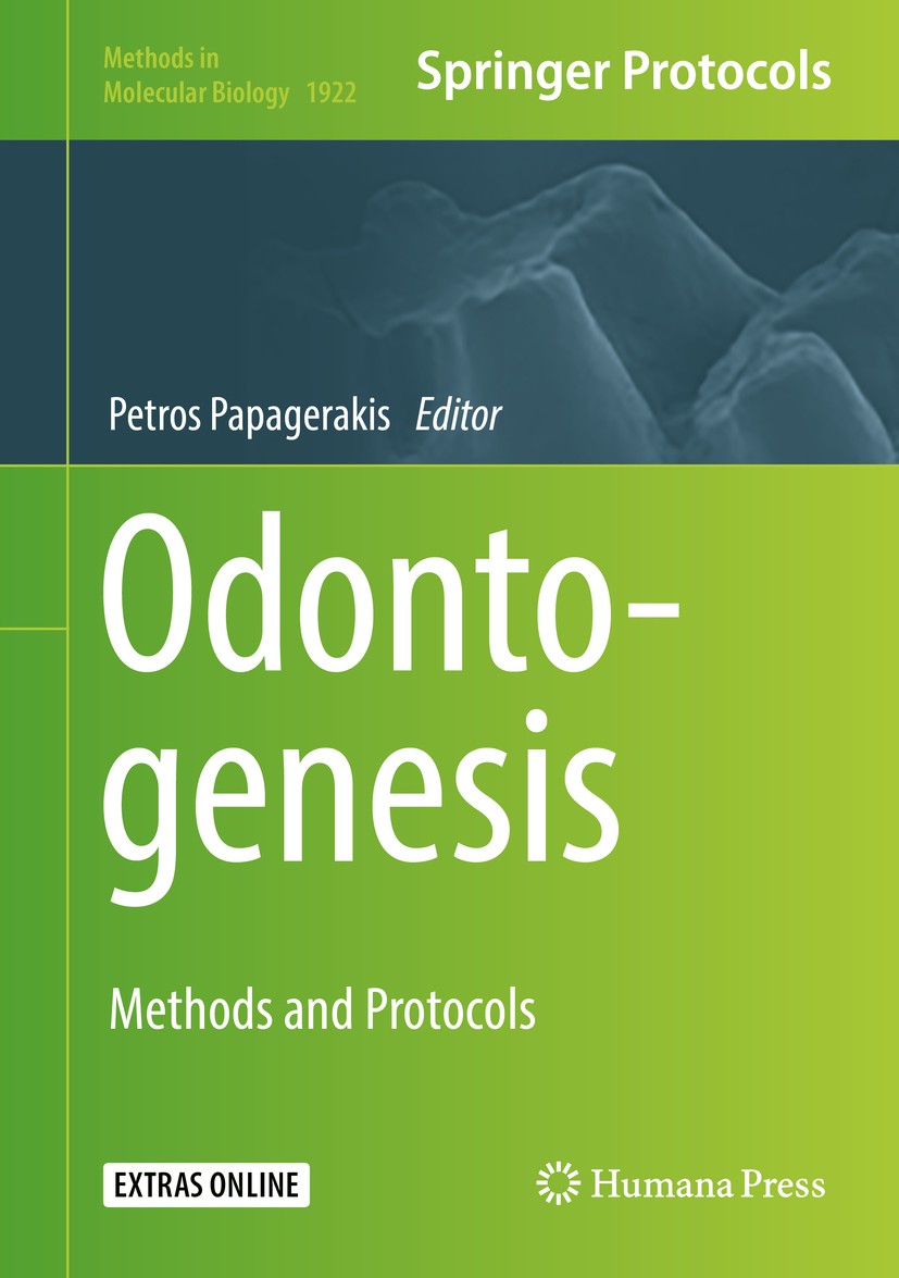 Titlebook: Odontogenesis; Methods and Protocol Petros Papagerakis Book 2019 Springer Science+Business Media, LLC, part of Springer Nature 2019 epithel Titlebook: Odontogenesis; Methods and Protocol Petros Papagerakis Book 2019 Springer Science+Business Media, LLC, part of Springer Nature 2019 epithel