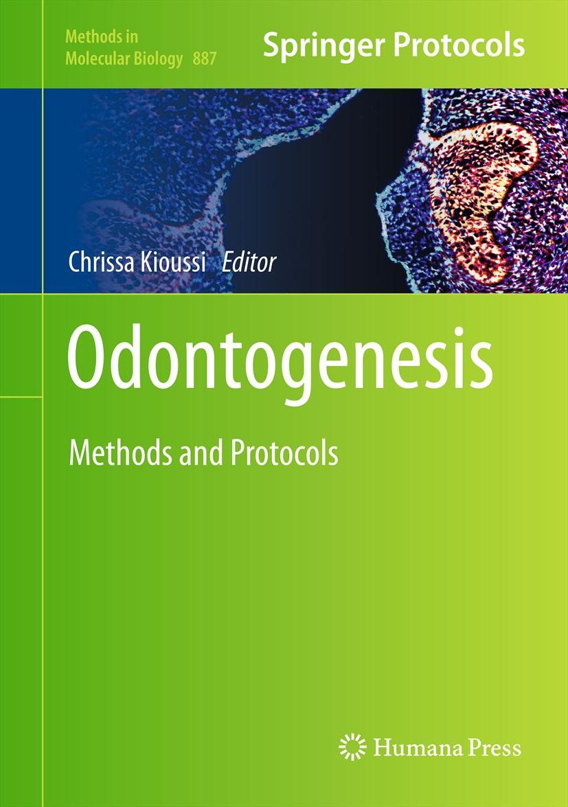 Titlebook: Odontogenesis; Methods and Protocol Chrissa Kioussi Book 2012 Springer Science+Business Media, LLC 2012 Bioengineered teeth.Developmental m Titlebook: Odontogenesis; Methods and Protocol Chrissa Kioussi Book 2012 Springer Science+Business Media, LLC 2012 Bioengineered teeth.Developmental m