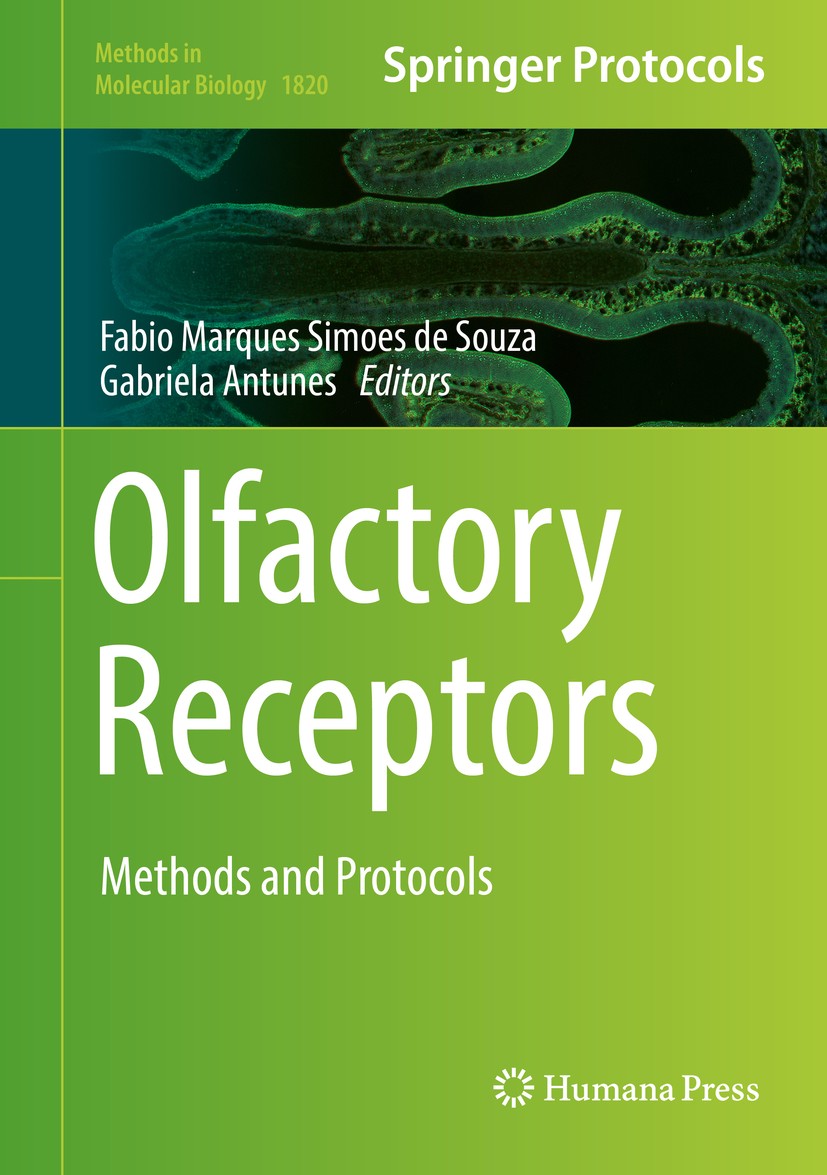 Titlebook: Olfactory Receptors; Methods and Protocol Fabio Marques Simoes de Souza,Gabriela Antunes Book 2018 Springer Science+Business Media, LLC, pa Titlebook: Olfactory Receptors; Methods and Protocol Fabio Marques Simoes de Souza,Gabriela Antunes Book 2018 Springer Science+Business Media, LLC, pa