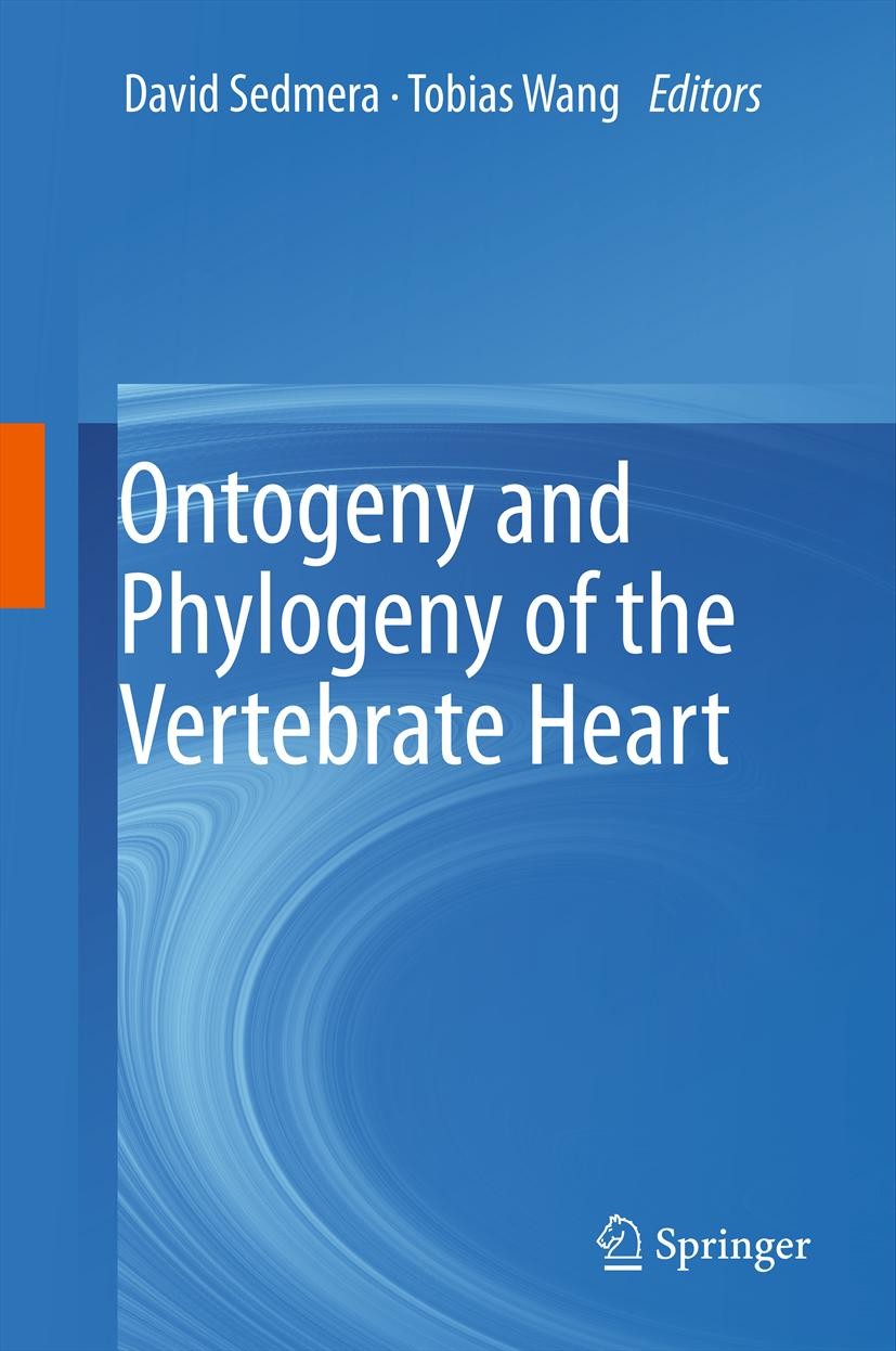 Titlebook: Ontogeny and Phylogeny of the Vertebrate Heart; David Sedmera,Tobias Wang Book 2012 Springer Science+Business Media, LLC 2012 cardiovascul Titlebook: Ontogeny and Phylogeny of the Vertebrate Heart; David Sedmera,Tobias Wang Book 2012 Springer Science+Business Media, LLC 2012 cardiovascul