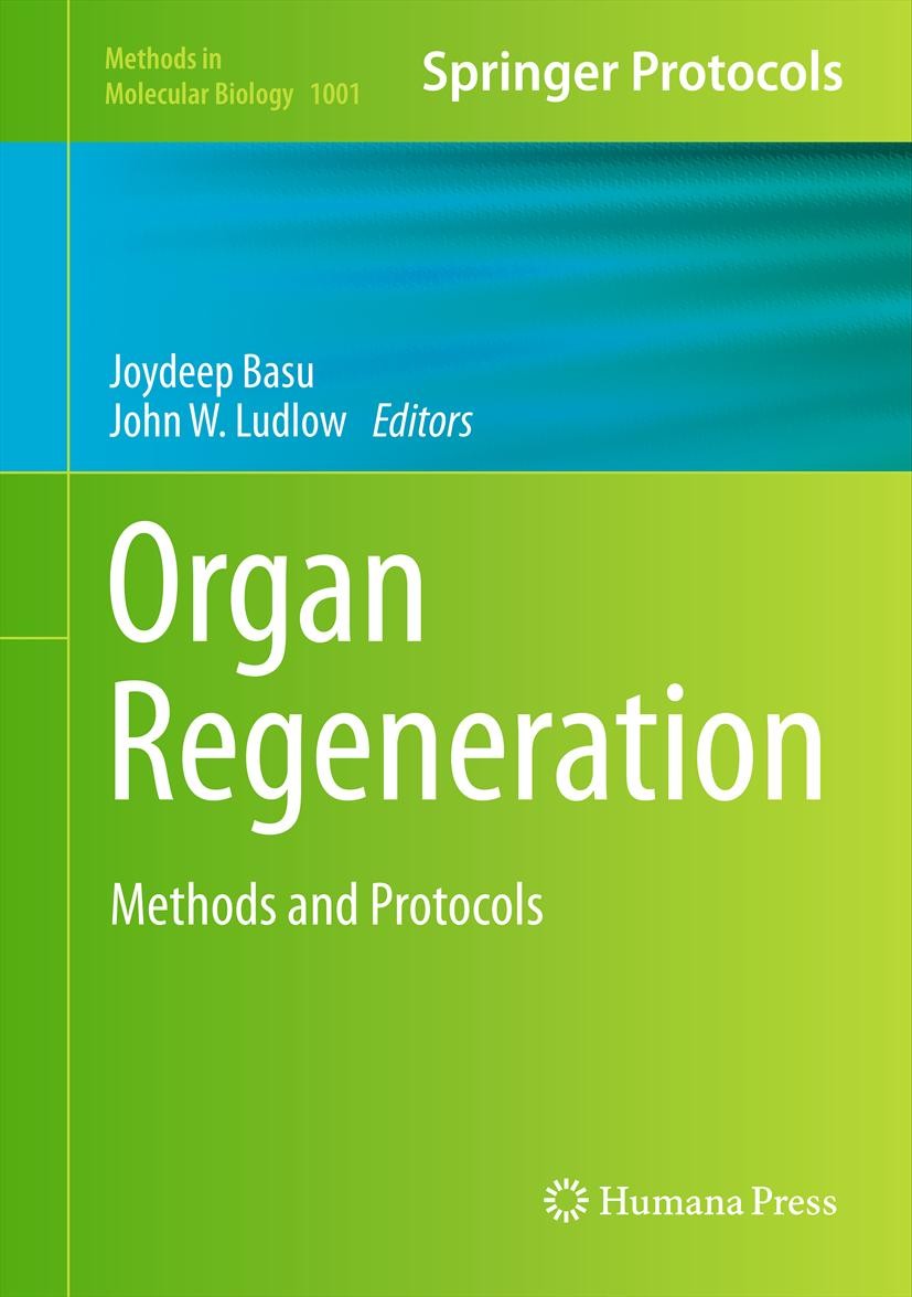 Titlebook: Organ Regeneration; Methods and Protocol Joydeep Basu,John W. Ludlow Book 2013 Springer Science+Business Media New York 2013 cell isolation Titlebook: Organ Regeneration; Methods and Protocol Joydeep Basu,John W. Ludlow Book 2013 Springer Science+Business Media New York 2013 cell isolation