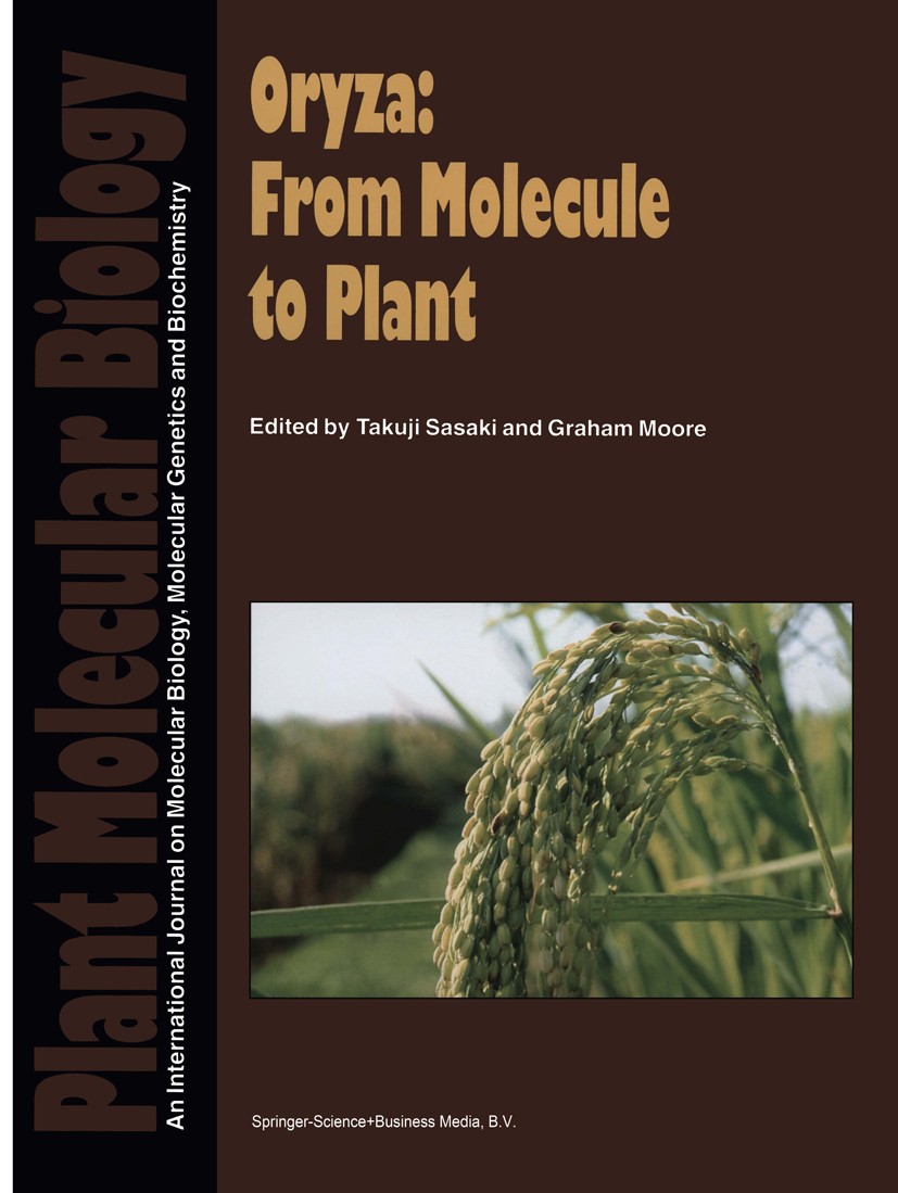 Titlebook: Oryza: From Molecule to Plant; Takuji Sasaki,Graham Moore Book 1997 Springer Science+Business Media Dordrecht 1997 Contig.Moore.agrobacter Titlebook: Oryza: From Molecule to Plant; Takuji Sasaki,Graham Moore Book 1997 Springer Science+Business Media Dordrecht 1997 Contig.Moore.agrobacter