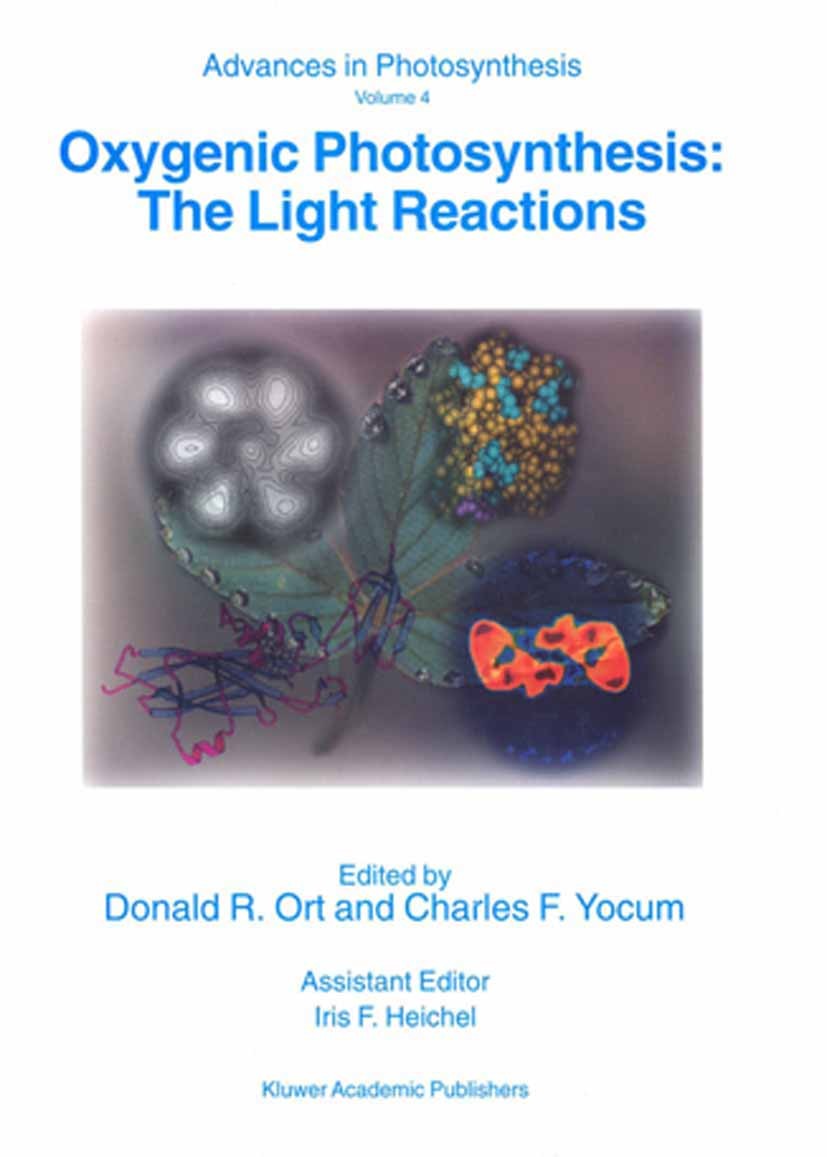 Titlebook: Oxygenic Photosynthesis: The Light Reactions; Donald R. Ort,Charles F. Yocum,Iris F. Heichel (As Book 1996 Springer Science+Business Media Titlebook: Oxygenic Photosynthesis: The Light Reactions; Donald R. Ort,Charles F. Yocum,Iris F. Heichel (As Book 1996 Springer Science+Business Media