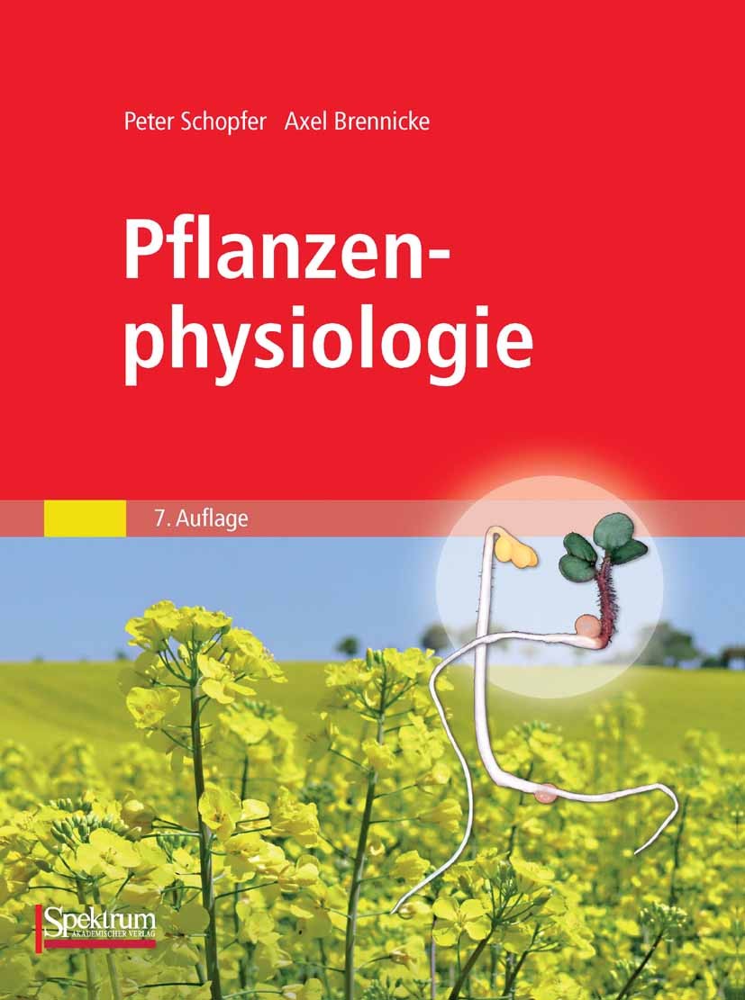 Titlebook: Pflanzenphysiologie; Axel Brennicke,Peter Schopfer Textbook 2010Latest edition Spektrum Akademischer Verlag 2010 Biomembran.Blaualgen.Chlo Titlebook: Pflanzenphysiologie; Axel Brennicke,Peter Schopfer Textbook 2010Latest edition Spektrum Akademischer Verlag 2010 Biomembran.Blaualgen.Chlo