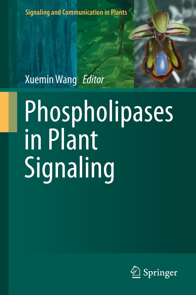 Titlebook: Phospholipases in Plant Signaling; Xuemin Wang Book 2014 Springer-Verlag Berlin Heidelberg 2014 abiotic stress.cytoskeleton.lipid signalin Titlebook: Phospholipases in Plant Signaling; Xuemin Wang Book 2014 Springer-Verlag Berlin Heidelberg 2014 abiotic stress.cytoskeleton.lipid signalin
