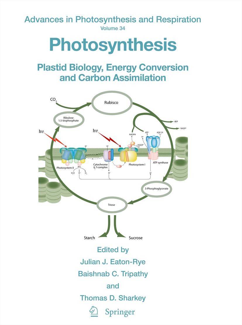 Titlebook: Photosynthesis; Plastid Biology, Ene Julian J. Eaton-Rye,Baishnab C. Tripathy,Thomas D. Book 2012 Springer Science+Business Media B.V. 2012 Titlebook: Photosynthesis; Plastid Biology, Ene Julian J. Eaton-Rye,Baishnab C. Tripathy,Thomas D. Book 2012 Springer Science+Business Media B.V. 2012