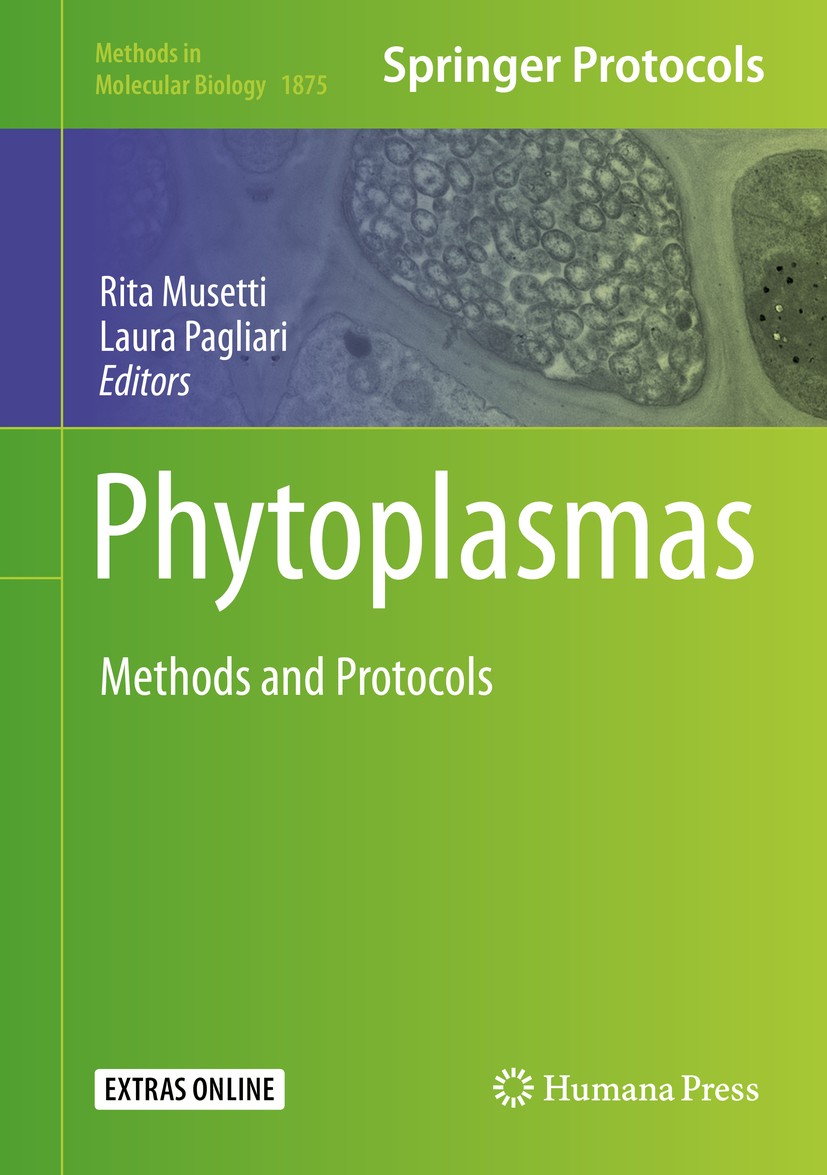Titlebook: Phytoplasmas; Methods and Protocol Rita Musetti,Laura Pagliari Book 2019 Springer Science+Business Media, LLC, part of Springer Nature 2019 Titlebook: Phytoplasmas; Methods and Protocol Rita Musetti,Laura Pagliari Book 2019 Springer Science+Business Media, LLC, part of Springer Nature 2019