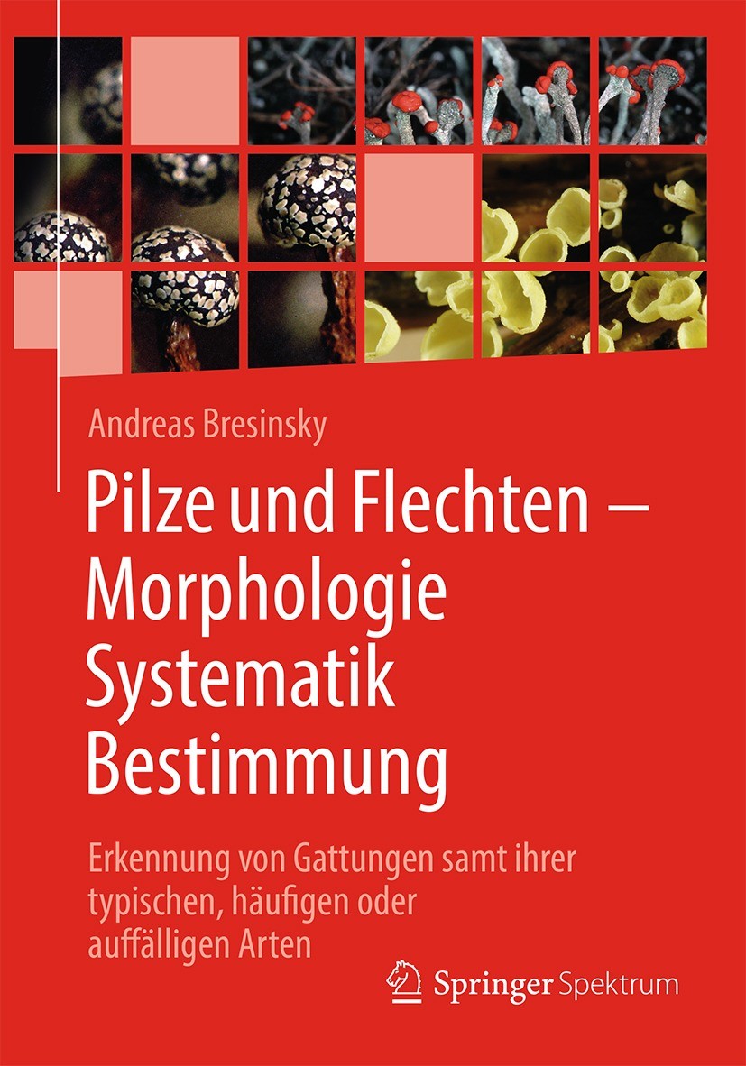 Titlebook: Pilze und Flechten – Morphologie, Systematik, Bestimmung; Erkennung von Gattun Andreas Bresinsky Textbook 2021 Springer-Verlag GmbH Deutsch Titlebook: Pilze und Flechten – Morphologie, Systematik, Bestimmung; Erkennung von Gattun Andreas Bresinsky Textbook 2021 Springer-Verlag GmbH Deutsch
