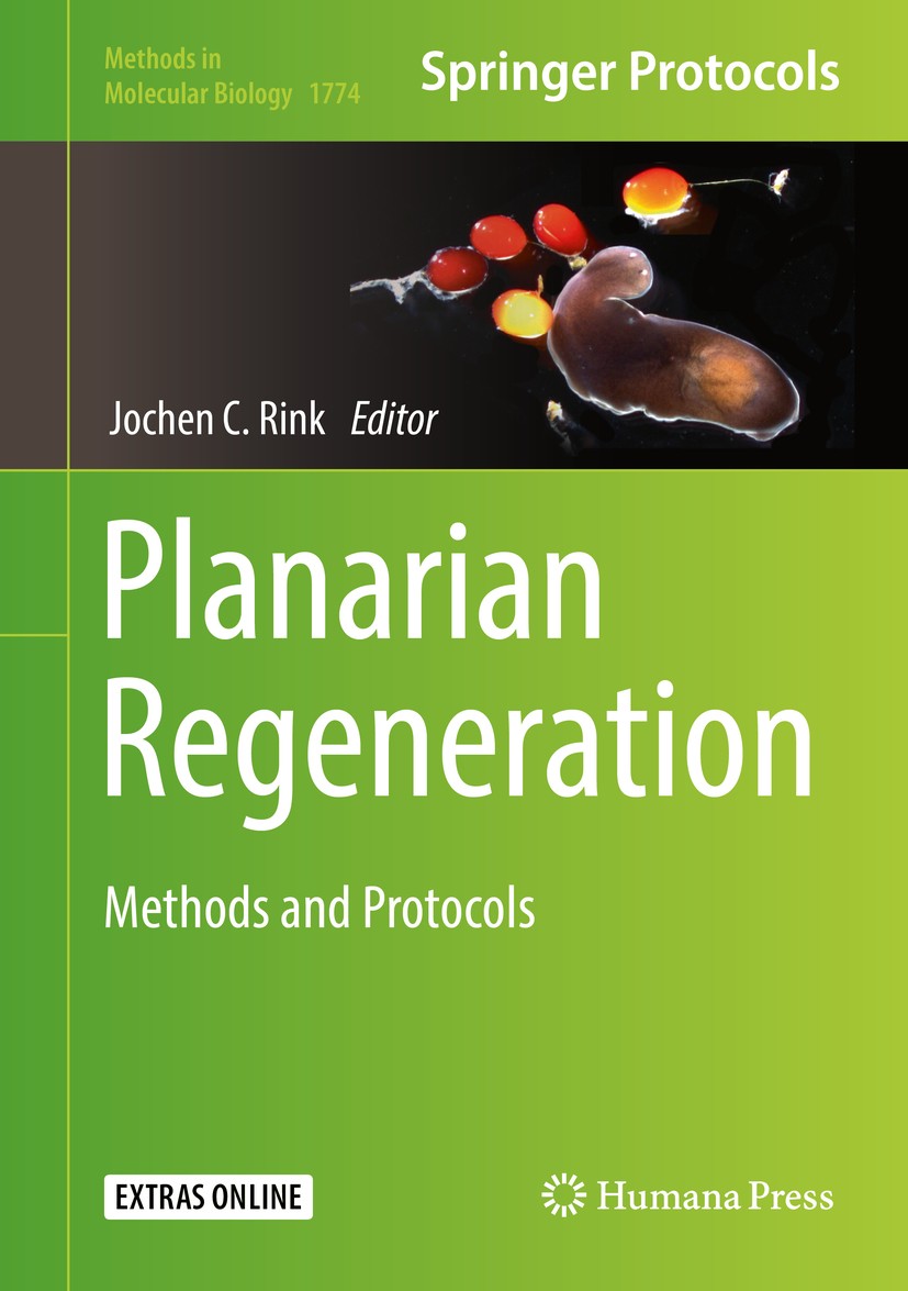 Titlebook: Planarian Regeneration; Methods and Protocol Jochen C. Rink Book 2018 Springer Science+Business Media, LLC, part of Springer Nature 2018 pl Titlebook: Planarian Regeneration; Methods and Protocol Jochen C. Rink Book 2018 Springer Science+Business Media, LLC, part of Springer Nature 2018 pl