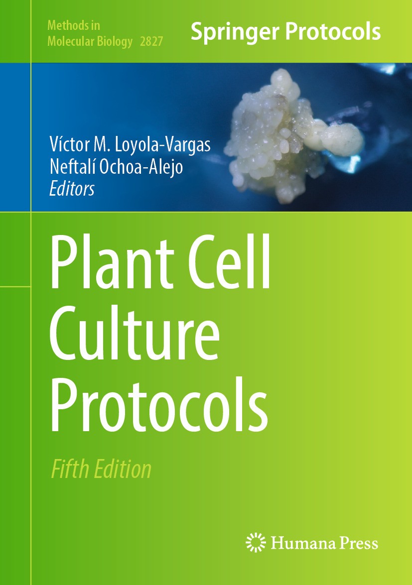 Titlebook: Plant Cell Culture Protocols; Víctor Loyola-Vargas,Neftalí Ochoa-Alejo Book 2024Latest edition The Editor(s) (if applicable) and The Autho Titlebook: Plant Cell Culture Protocols; Víctor Loyola-Vargas,Neftalí Ochoa-Alejo Book 2024Latest edition The Editor(s) (if applicable) and The Autho