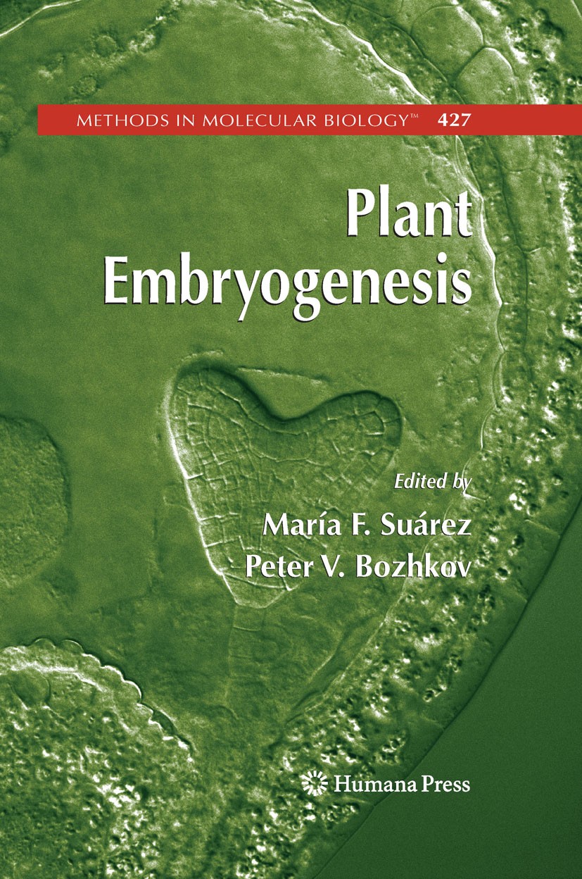 Titlebook: Plant Embryogenesis; María F. Suárez,Peter V. Bozhkov Book 2008 Humana Press 2008 Embryo.Flora.Protein.evolution.mutant.proteins.transcrip Titlebook: Plant Embryogenesis; María F. Suárez,Peter V. Bozhkov Book 2008 Humana Press 2008 Embryo.Flora.Protein.evolution.mutant.proteins.transcrip