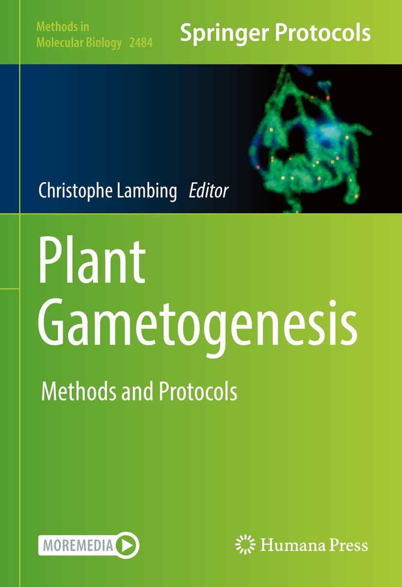 Titlebook: Plant Gametogenesis; Methods and Protocol Christophe Lambing Book 2022 The Editor(s) (if applicable) and The Author(s), under exclusive lic Titlebook: Plant Gametogenesis; Methods and Protocol Christophe Lambing Book 2022 The Editor(s) (if applicable) and The Author(s), under exclusive lic