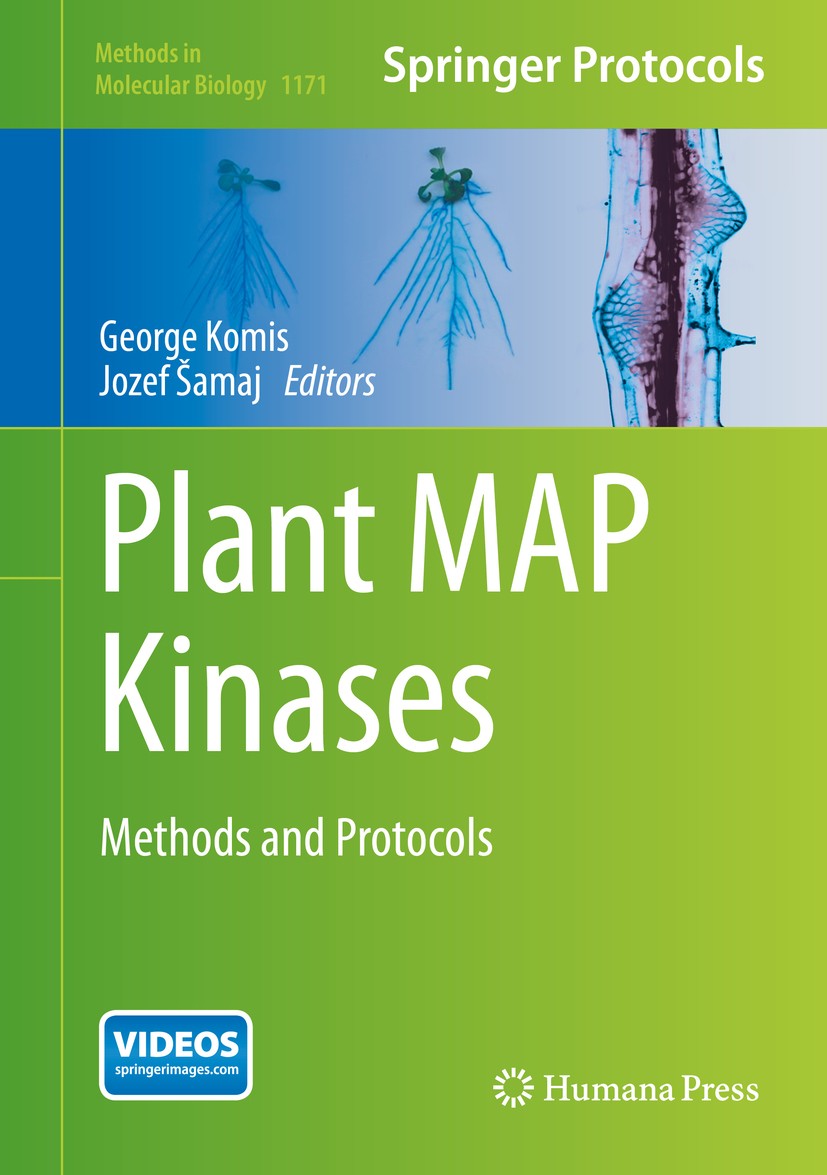 Titlebook: Plant MAP Kinases; Methods and Protocol George Komis,Jozef Šamaj Book 2014 Springer Science+Business Media New York 2014 Arabidopsis mesoph Titlebook: Plant MAP Kinases; Methods and Protocol George Komis,Jozef Šamaj Book 2014 Springer Science+Business Media New York 2014 Arabidopsis mesoph