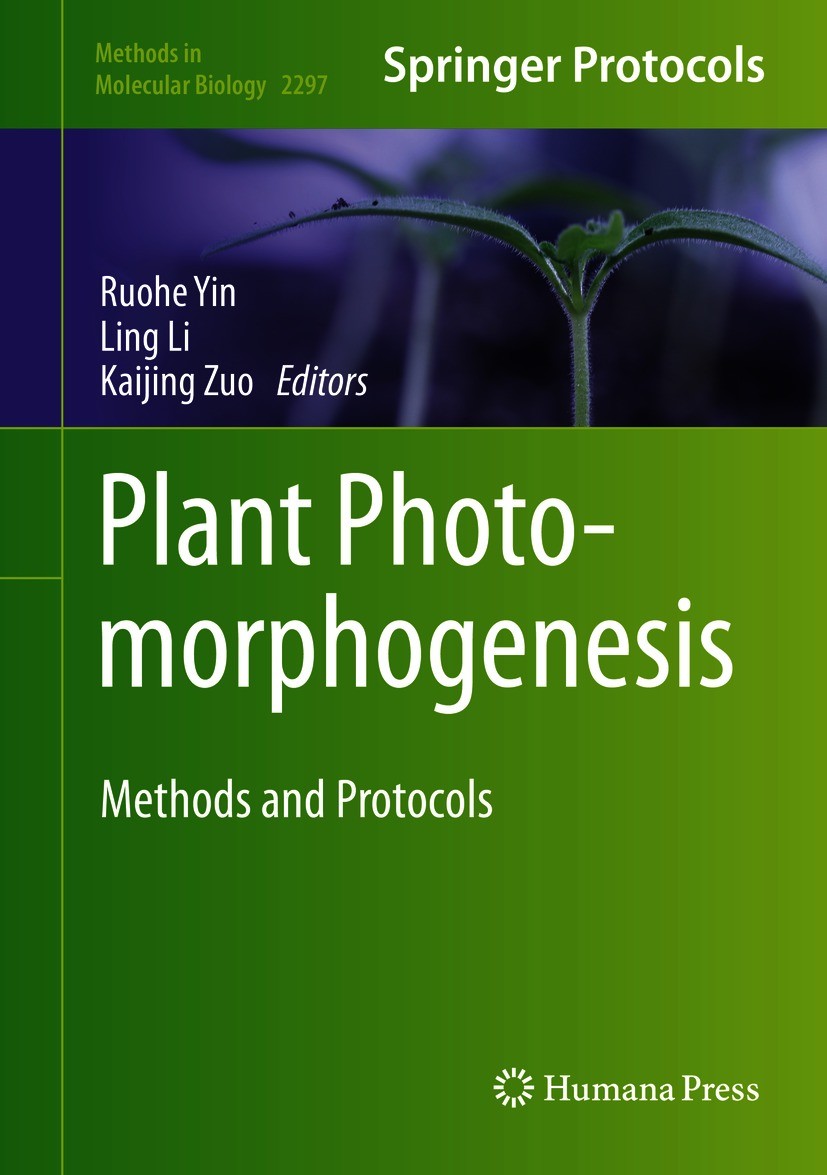 Titlebook: Plant Photomorphogenesis; Methods and Protocol Ruohe Yin,Ling Li,Kaijing Zuo Book 2021 Springer Science+Business Media, LLC, part of Spring Titlebook: Plant Photomorphogenesis; Methods and Protocol Ruohe Yin,Ling Li,Kaijing Zuo Book 2021 Springer Science+Business Media, LLC, part of Spring