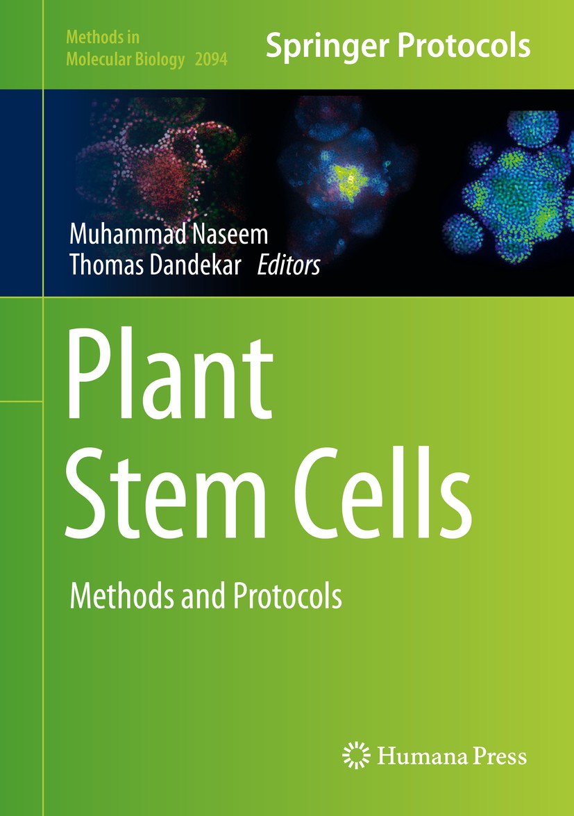 Titlebook: Plant Stem Cells; Methods and Protocol Muhammad Naseem,Thomas Dandekar Book 2020 Springer Science+Business Media, LLC, part of Springer Nat Titlebook: Plant Stem Cells; Methods and Protocol Muhammad Naseem,Thomas Dandekar Book 2020 Springer Science+Business Media, LLC, part of Springer Nat