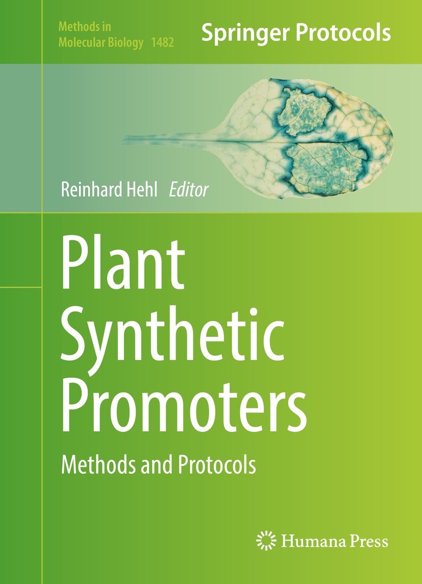 Titlebook: Plant Synthetic Promoters; Methods and Protocol Reinhard Hehl Book 2016 Springer Science+Business Media New York 2016 Gene expression regul Titlebook: Plant Synthetic Promoters; Methods and Protocol Reinhard Hehl Book 2016 Springer Science+Business Media New York 2016 Gene expression regul