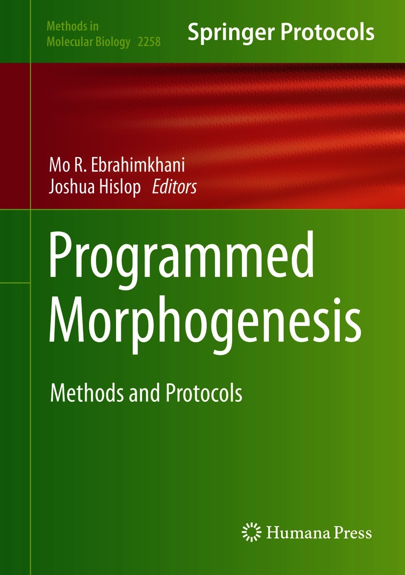 Titlebook: Programmed Morphogenesis; Methods and Protocol Mo R. Ebrahimkhani,Joshua Hislop Book 2021 The Editor(s) (if applicable) and The Author(s), Titlebook: Programmed Morphogenesis; Methods and Protocol Mo R. Ebrahimkhani,Joshua Hislop Book 2021 The Editor(s) (if applicable) and The Author(s),