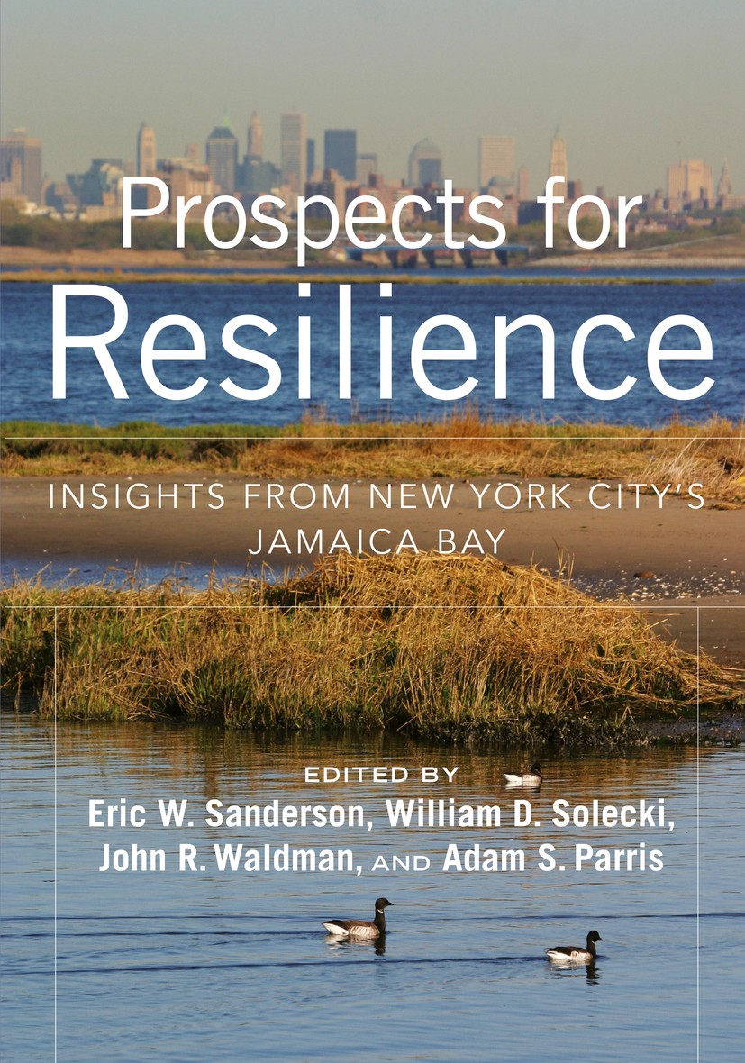 Titlebook: Prospects for Resilience; Insights from New Yo Eric W. Sanderson,William D. Solecki,Adam S. Parri Book 2016Latest edition Eric W. Sanderso Titlebook: Prospects for Resilience; Insights from New Yo Eric W. Sanderson,William D. Solecki,Adam S. Parri Book 2016Latest edition Eric W. Sanderso