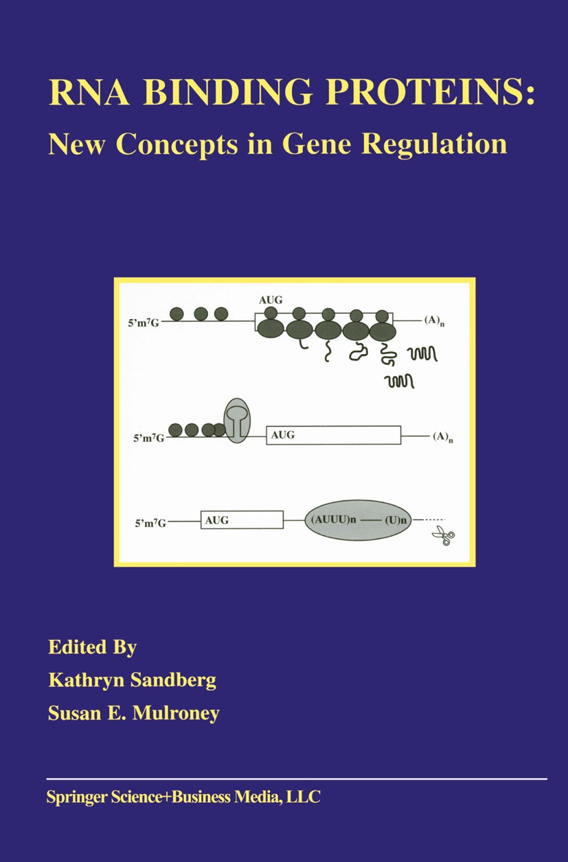 Titlebook: RNA Binding Proteins; New Concepts in Gene Kathryn Sandberg (Associate Professor),Susan E. Mu Book 2002 Springer Science+Business Media New Titlebook: RNA Binding Proteins; New Concepts in Gene Kathryn Sandberg (Associate Professor),Susan E. Mu Book 2002 Springer Science+Business Media New