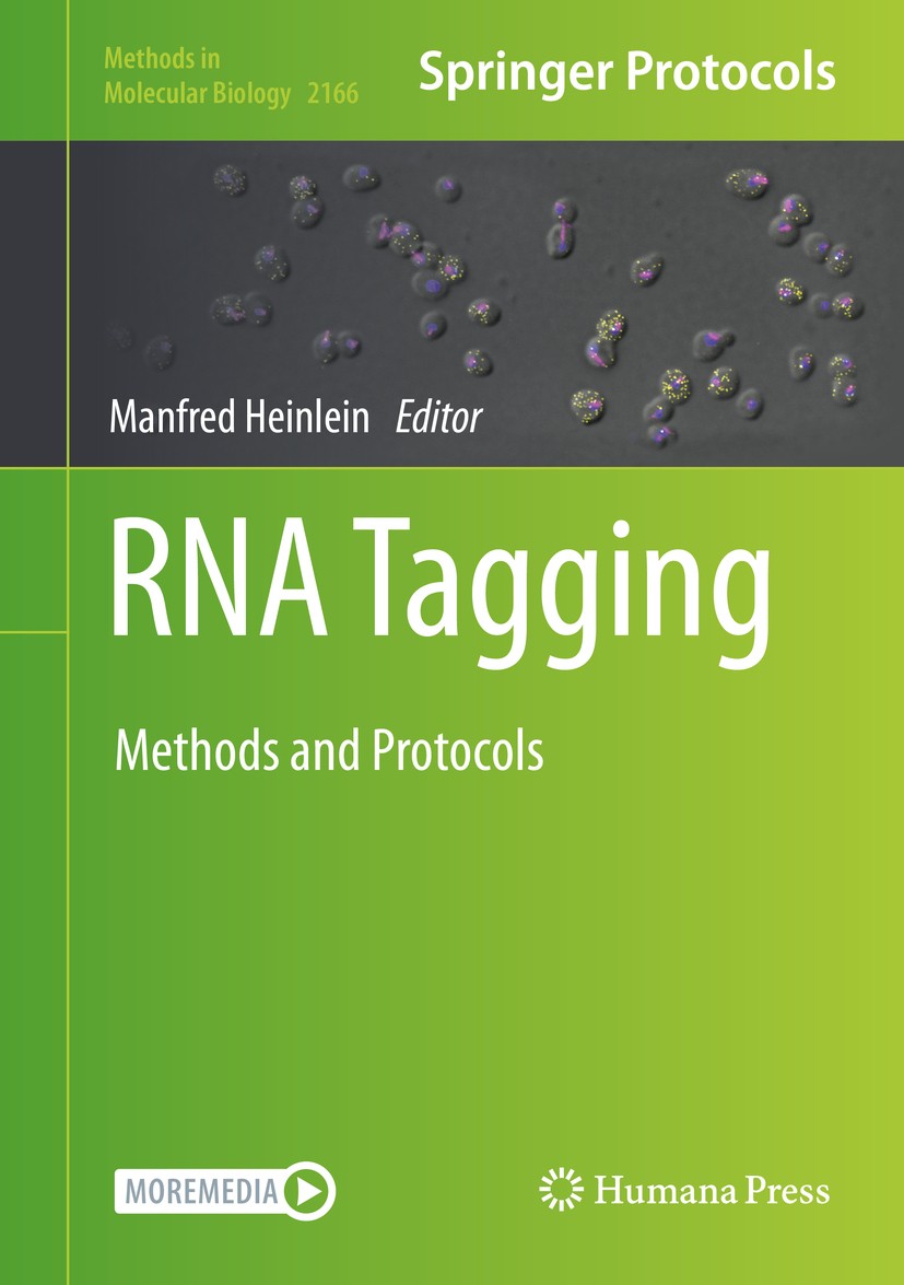 Titlebook: RNA Tagging; Methods and Protocol Manfred Heinlein Book 2020 Springer Science+Business Media, LLC, part of Springer Nature 2020 RNA-binding Titlebook: RNA Tagging; Methods and Protocol Manfred Heinlein Book 2020 Springer Science+Business Media, LLC, part of Springer Nature 2020 RNA-binding