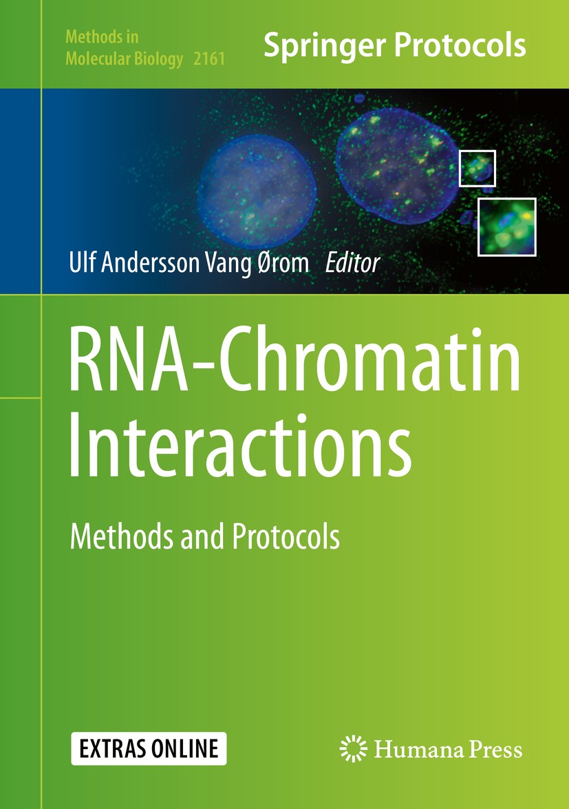 Titlebook: RNA-Chromatin Interactions; Methods and Protocol Ulf Andersson Vang Ørom Book 2020 Springer Science+Business Media, LLC, part of Springer N Titlebook: RNA-Chromatin Interactions; Methods and Protocol Ulf Andersson Vang Ørom Book 2020 Springer Science+Business Media, LLC, part of Springer N