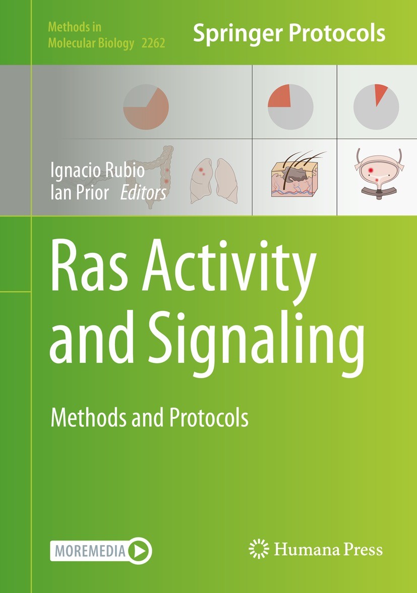Titlebook: Ras Activity and Signaling; Methods and Protocol Ignacio Rubio,Ian Prior Book 2021 Springer Science+Business Media, LLC, part of Springer N Titlebook: Ras Activity and Signaling; Methods and Protocol Ignacio Rubio,Ian Prior Book 2021 Springer Science+Business Media, LLC, part of Springer N