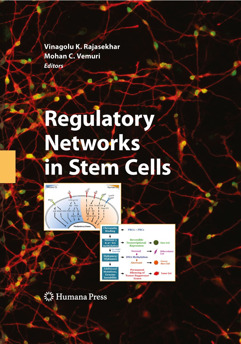 Titlebook: Regulatory Networks in Stem Cells; Vinagolu K. Rajasekhar,Mohan C. Vemuri Book 2009 Humana Press 2009 DNA.Expression.Telomere.anatomy.cell Titlebook: Regulatory Networks in Stem Cells; Vinagolu K. Rajasekhar,Mohan C. Vemuri Book 2009 Humana Press 2009 DNA.Expression.Telomere.anatomy.cell