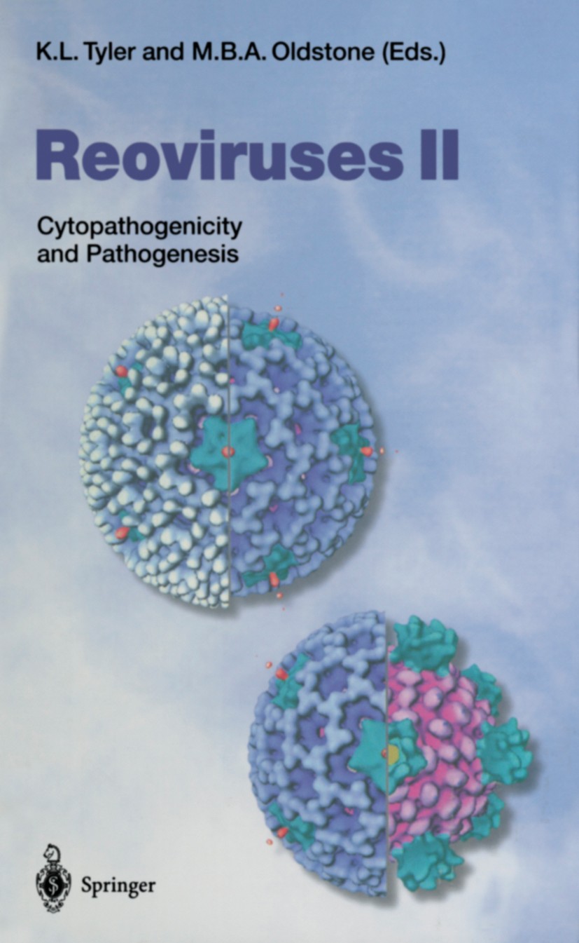 Titlebook: Reoviruses II; Cytopathogenicity an Kenneth L. Tyler,Michael B. A. Oldstone Book 1998 The Editor(s) (if applicable) and The Author(s), unde Titlebook: Reoviruses II; Cytopathogenicity an Kenneth L. Tyler,Michael B. A. Oldstone Book 1998 The Editor(s) (if applicable) and The Author(s), unde