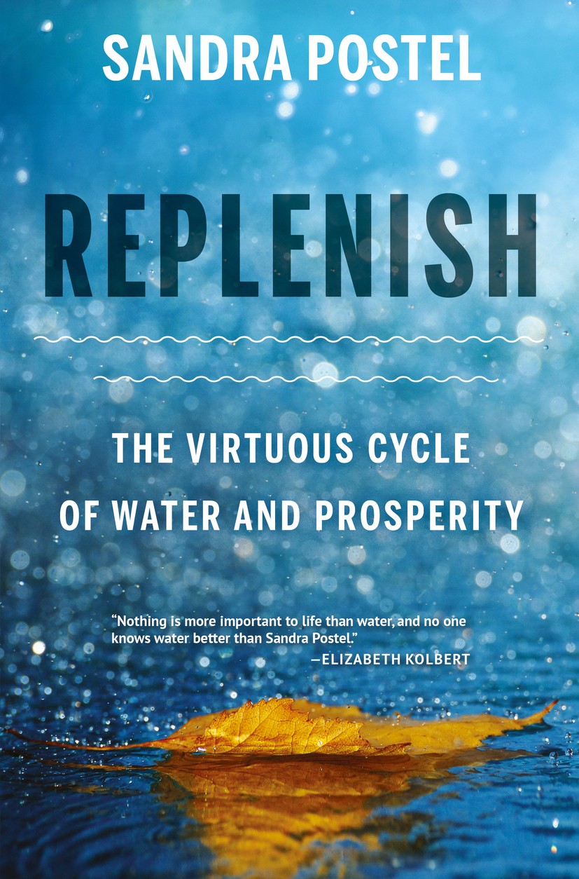 Titlebook: Replenish; The Virtuous Cycle o Sandra Postel Book 2017Latest edition Sandra Postel 2017 natural water cycle.water replenishment.forest reh Titlebook: Replenish; The Virtuous Cycle o Sandra Postel Book 2017Latest edition Sandra Postel 2017 natural water cycle.water replenishment.forest reh