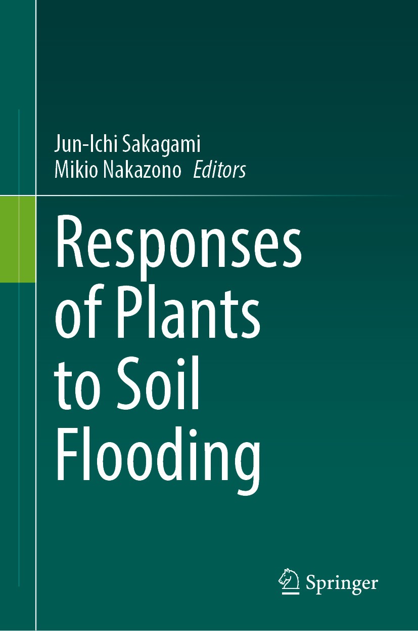 Titlebook: Responses of Plants to Soil Flooding; Jun-Ichi Sakagami,Mikio Nakazono Book 2024 The Editor(s) (if applicable) and The Author(s), under ex Titlebook: Responses of Plants to Soil Flooding; Jun-Ichi Sakagami,Mikio Nakazono Book 2024 The Editor(s) (if applicable) and The Author(s), under ex
