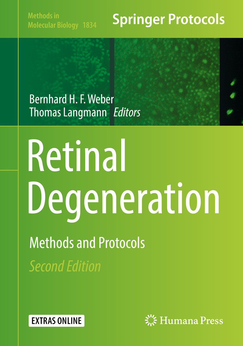 Titlebook: Retinal Degeneration; Methods and Protocol Bernhard H. F. Weber,Thomas Langmann Book 2019Latest edition Springer Science+Business Media, LL Titlebook: Retinal Degeneration; Methods and Protocol Bernhard H. F. Weber,Thomas Langmann Book 2019Latest edition Springer Science+Business Media, LL