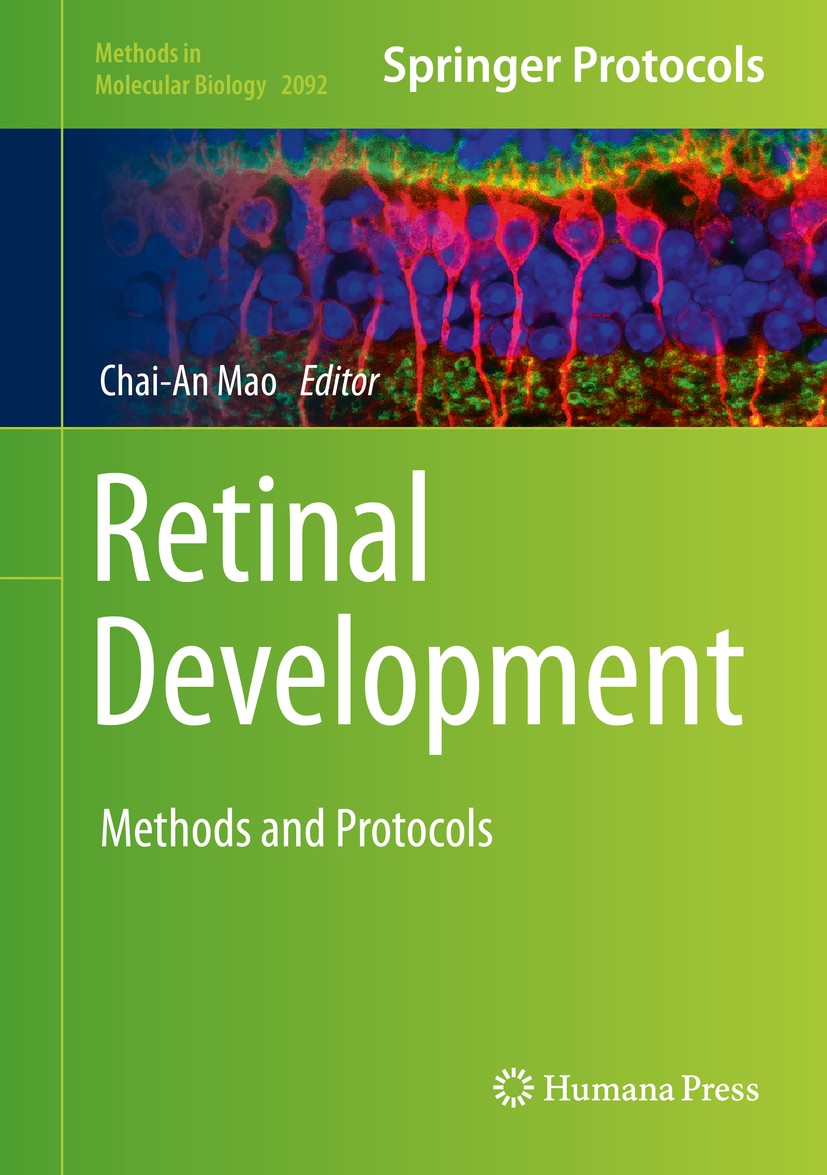Titlebook: Retinal Development; Methods and Protocol Chai-An Mao Book 2020 Springer Science+Business Media, LLC, part of Springer Nature 2020 central Titlebook: Retinal Development; Methods and Protocol Chai-An Mao Book 2020 Springer Science+Business Media, LLC, part of Springer Nature 2020 central