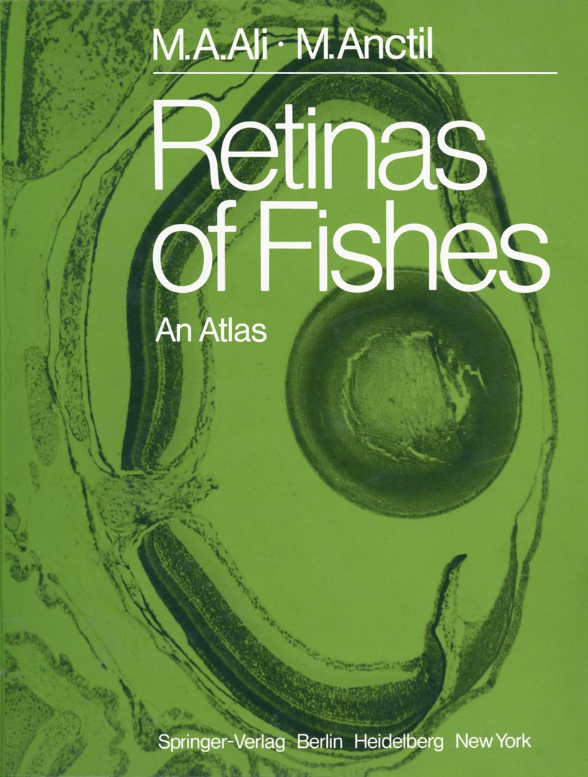 Titlebook: Retinas of Fishes; An Atlas M.-Ather Ali,Michel Anctil Book 1976 Springer-Verlag Berlin Heidelberg 1976 Fische.Netzhaut.Retina.fish.morphol Titlebook: Retinas of Fishes; An Atlas M.-Ather Ali,Michel Anctil Book 1976 Springer-Verlag Berlin Heidelberg 1976 Fische.Netzhaut.Retina.fish.morphol
