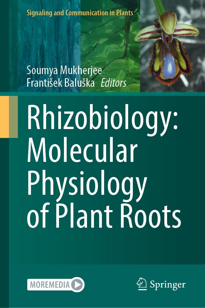 Titlebook: Rhizobiology: Molecular Physiology of Plant Roots; Soumya Mukherjee,František Baluška Book 2021 The Editor(s) (if applicable) and The Auth Titlebook: Rhizobiology: Molecular Physiology of Plant Roots; Soumya Mukherjee,František Baluška Book 2021 The Editor(s) (if applicable) and The Auth
