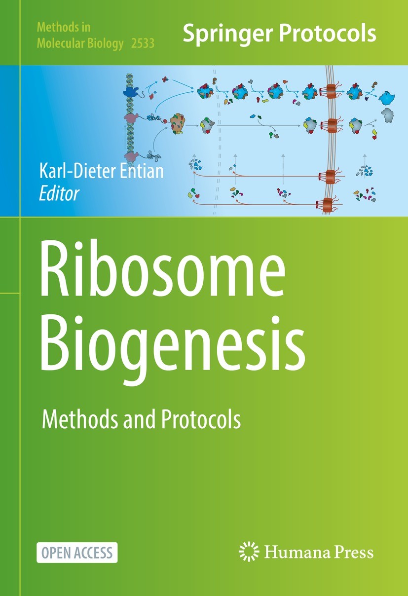 Titlebook: Ribosome Biogenesis; Methods and Protocol Karl-Dieter Entian Book‘‘‘‘‘‘‘‘ 2022 The Editor(s) (if applicable) and The Author(s) 2022 cryo-el Titlebook: Ribosome Biogenesis; Methods and Protocol Karl-Dieter Entian Book‘‘‘‘‘‘‘‘ 2022 The Editor(s) (if applicable) and The Author(s) 2022 cryo-el