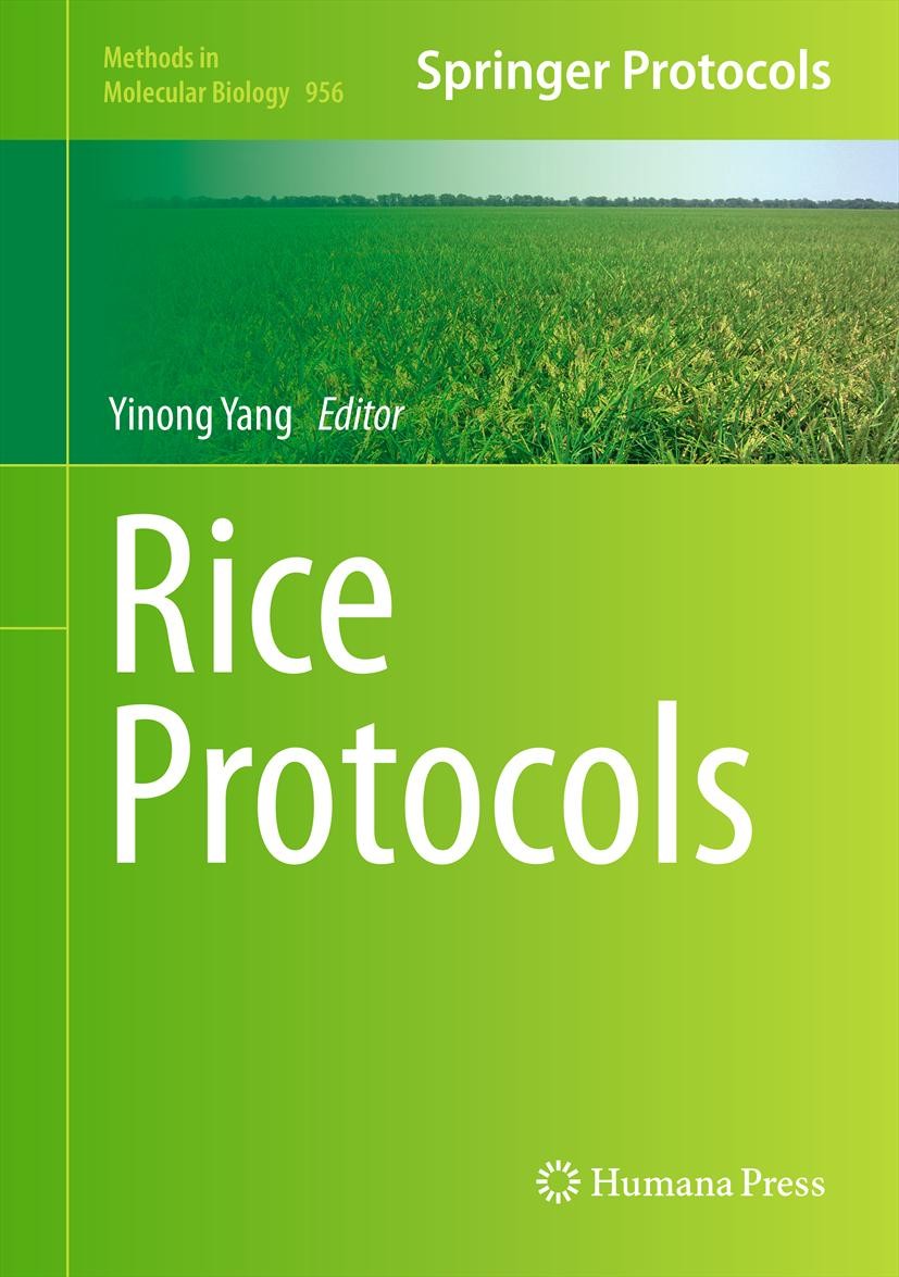 Titlebook: Rice Protocols; Yinong Yang Book 2013 Springer Science+Business Media, LLC 2013 Agriculture.Cereal crops.Functional genomics.Molecular bre Titlebook: Rice Protocols; Yinong Yang Book 2013 Springer Science+Business Media, LLC 2013 Agriculture.Cereal crops.Functional genomics.Molecular bre