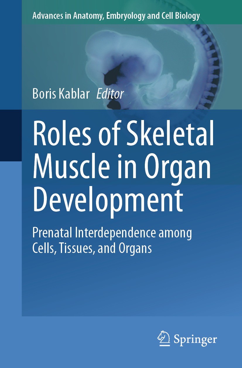 Titlebook: Roles of Skeletal Muscle in Organ Development; Prenatal Interdepend Boris Kablar Book 2023 The Editor(s) (if applicable) and The Author(s), Titlebook: Roles of Skeletal Muscle in Organ Development; Prenatal Interdepend Boris Kablar Book 2023 The Editor(s) (if applicable) and The Author(s),