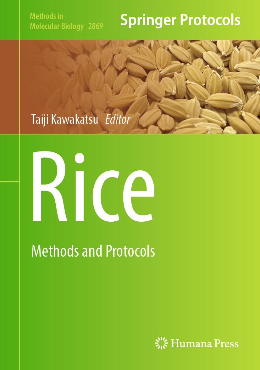 Titlebook: Rice; Methods and Protocol Taiji Kawakatsu Book 2025 The Editor(s) (if applicable) and The Author(s), under exclusive license to Springer S Titlebook: Rice; Methods and Protocol Taiji Kawakatsu Book 2025 The Editor(s) (if applicable) and The Author(s), under exclusive license to Springer S