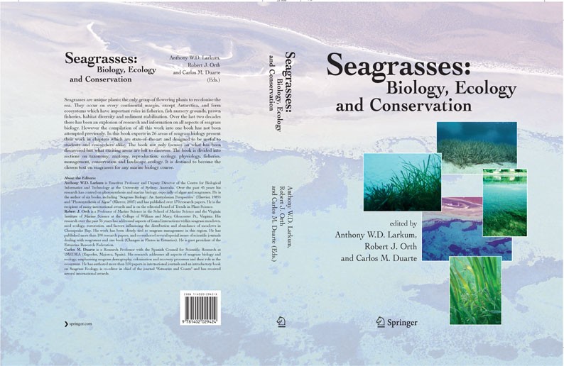 Titlebook: Seagrasses: Biology, Ecology and Conservation; ANTHONY W.D. LARKUM,ROBERT J. ORTH,CARLOS M. DUART Book 2006 Springer Science+Business Medi Titlebook: Seagrasses: Biology, Ecology and Conservation; ANTHONY W.D. LARKUM,ROBERT J. ORTH,CARLOS M. DUART Book 2006 Springer Science+Business Medi