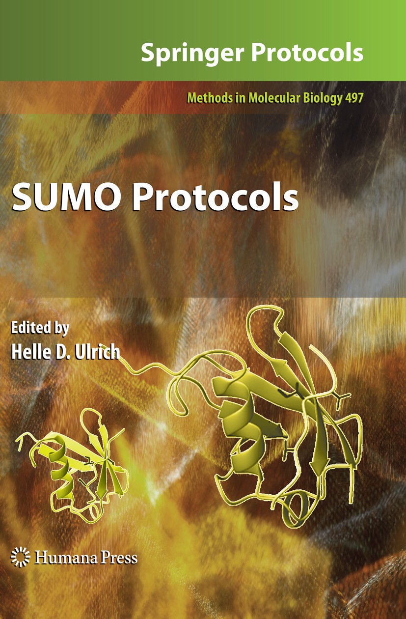 Titlebook: SUMO Protocols; Helle D. Ulrich Book 2009 Humana Press 2009 Escherichia coli.Proteomics.Vivo.enzymes.molecular biology.regulation.saccharo Titlebook: SUMO Protocols; Helle D. Ulrich Book 2009 Humana Press 2009 Escherichia coli.Proteomics.Vivo.enzymes.molecular biology.regulation.saccharo