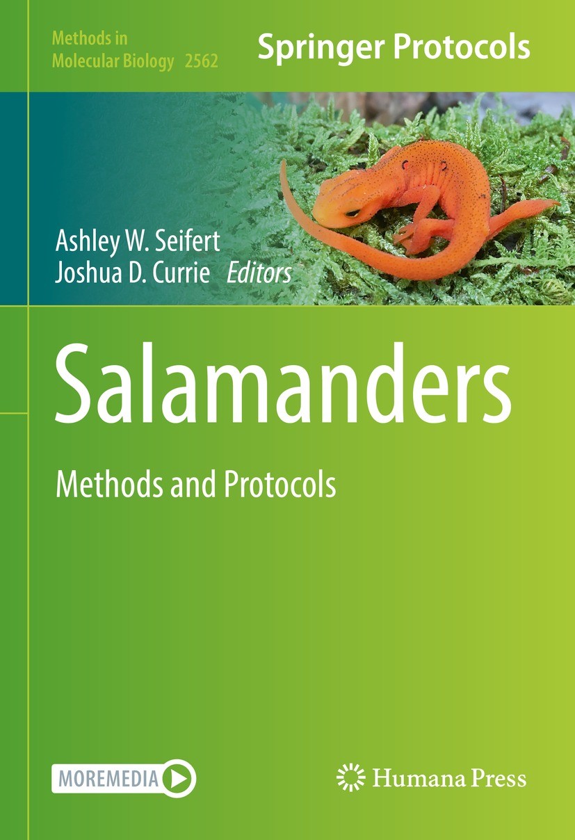 Titlebook: Salamanders; Methods and Protocol Ashley W. Seifert,Joshua D. Currie Book 2023 The Editor(s) (if applicable) and The Author(s), under exclu Titlebook: Salamanders; Methods and Protocol Ashley W. Seifert,Joshua D. Currie Book 2023 The Editor(s) (if applicable) and The Author(s), under exclu