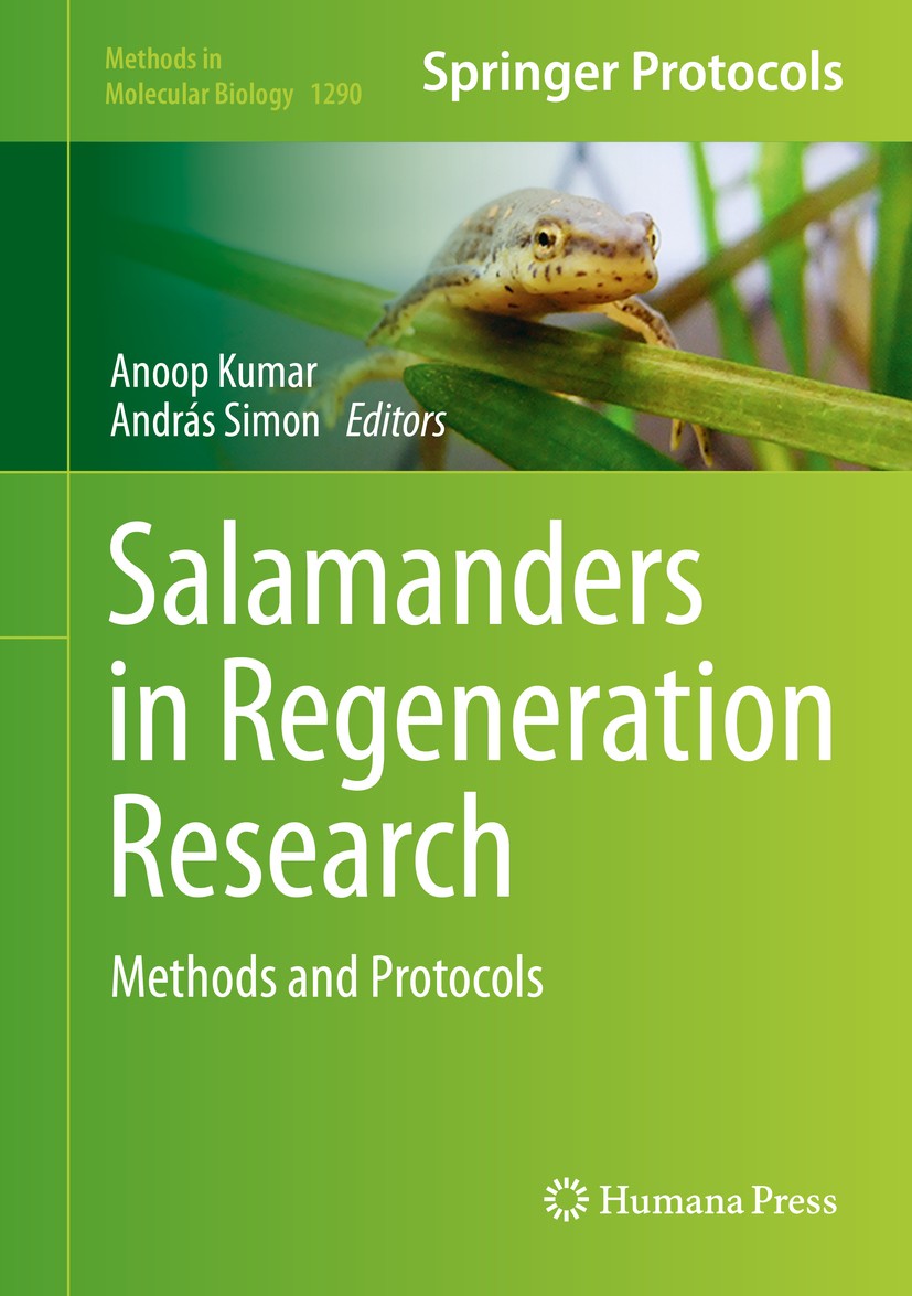 Titlebook: Salamanders in Regeneration Research; Methods and Protocol Anoop Kumar,András Simon Book 2015 Springer Science+Business Media New York 2015 Titlebook: Salamanders in Regeneration Research; Methods and Protocol Anoop Kumar,András Simon Book 2015 Springer Science+Business Media New York 2015
